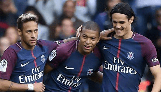 的体型和心 的体型和心