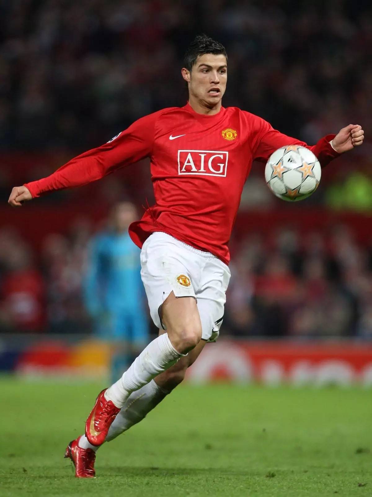 验丰富的外 验丰富的外