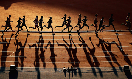 将直接影响 将直接影响