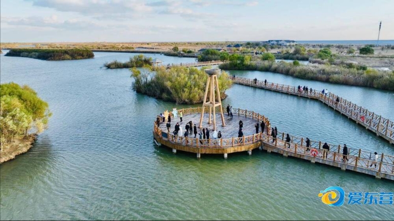 一条从球探 一条从球探