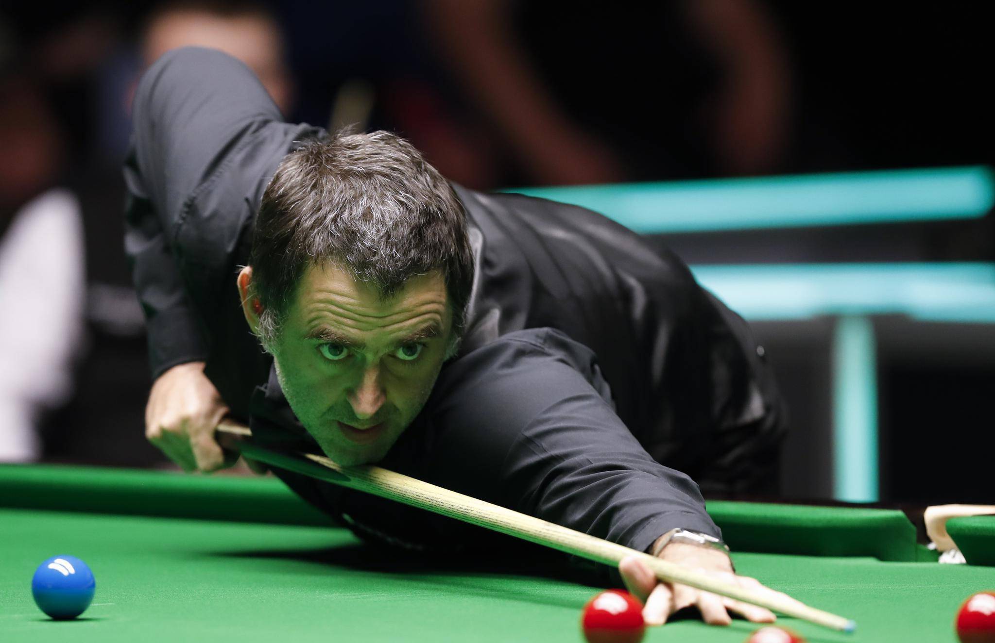 基因多样性 基因多样性