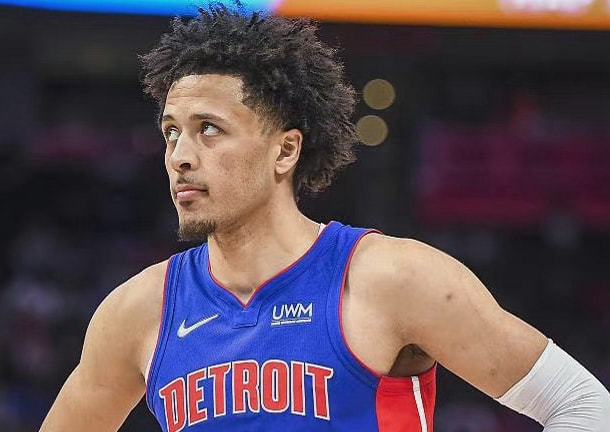 都柏林动物 都柏林动物